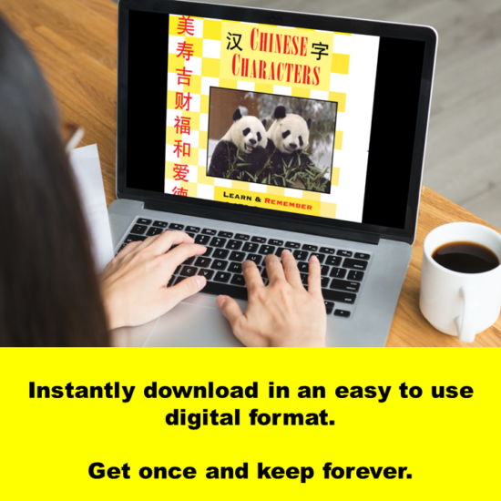 Chinese Characters - Dr Alan Hoenig - Learn and remember 2178 characters! [DIGITAL DOWNLOAD] - Image 9